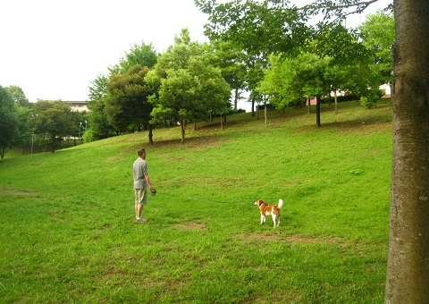 c0084117_1563819.jpg