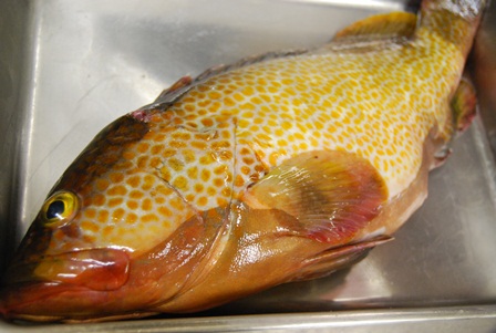 旬の美味しいお魚_e0025817_23385129.jpg