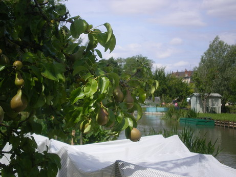 c0124619_20421824.jpg