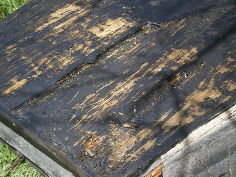 c0124619_20453231.jpg