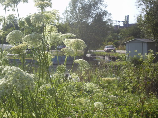 c0124619_21145999.jpg