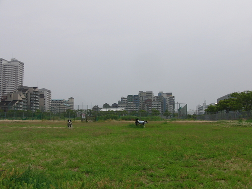 e0179321_2110530.jpg