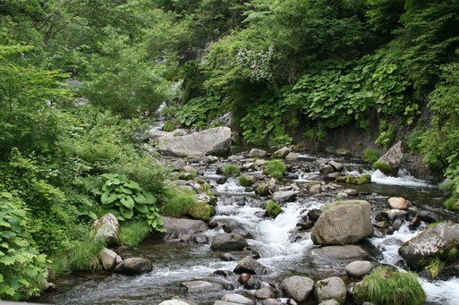 e0109622_17423559.jpg