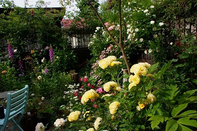 f0170524_1651451.jpg