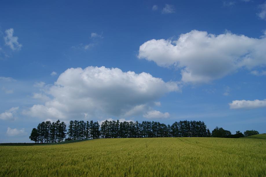 前略　丘のまちから♪　2011夏編_c0150825_2133394.jpg