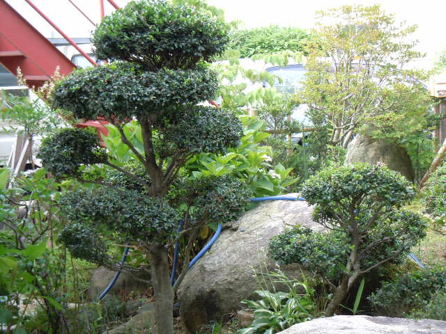f0114128_12283718.jpg