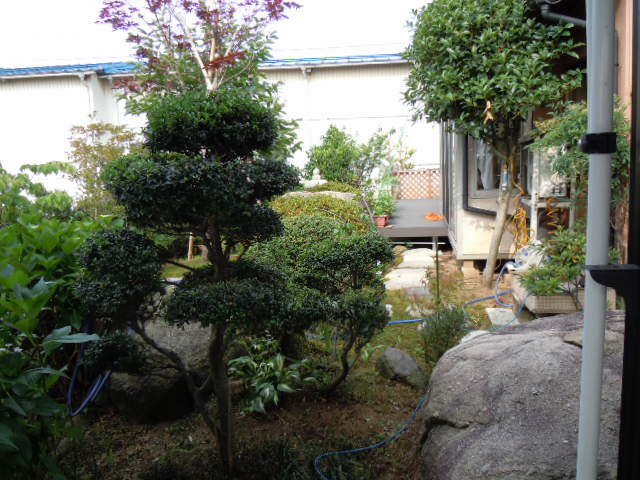 f0114128_1229830.jpg