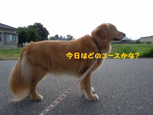 f0114128_1271339.jpg
