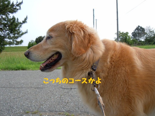 f0114128_1275893.jpg