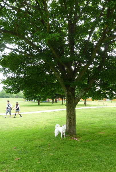 a0024829_1034183.jpg