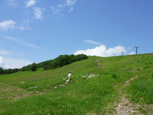a0024829_9353730.jpg