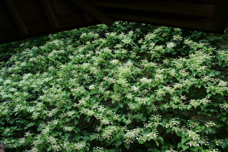 a0122932_955157.jpg