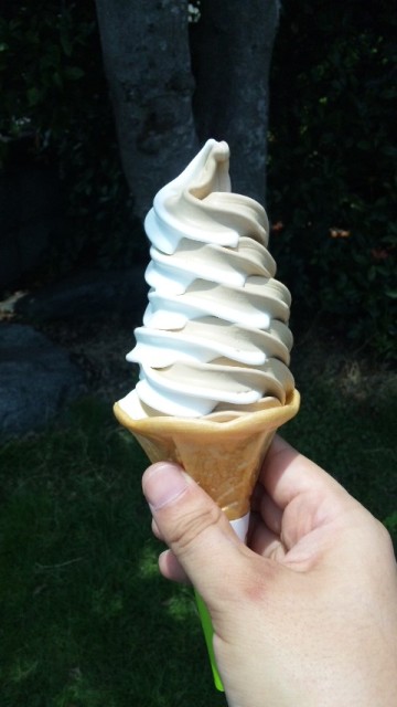 c0001632_16432440.jpg