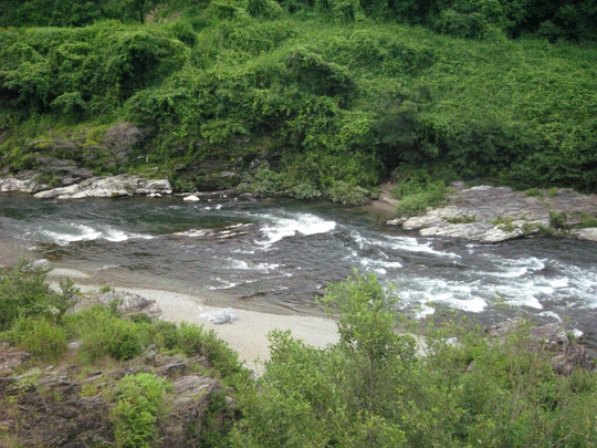 c0113733_1295816.jpg