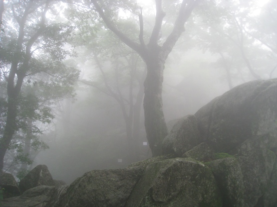 猫谷川新道～宝満山～大谷尾根_c0077338_1505690.jpg