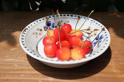 旬の果実を九谷青窯の器に入れてみました（2011年７月２日）_a0139239_16554273.jpg