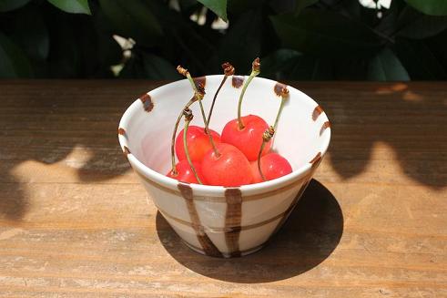 旬の果実を九谷青窯の器に入れてみました（2011年７月２日）_a0139239_165668.jpg