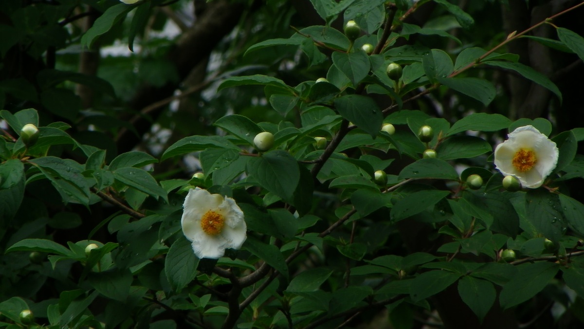 d0027244_1555764.jpg