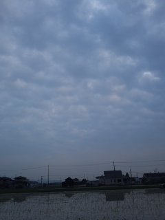 今の空　2011.7.3_d0090744_17561353.jpg