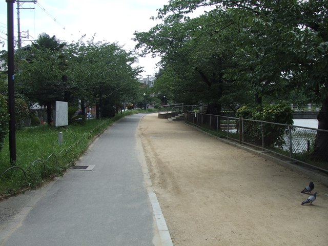 e0046748_15434371.jpg