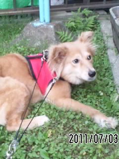 f0087256_19223821.jpg