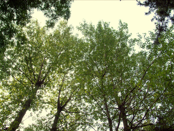 c0050857_1061925.jpg