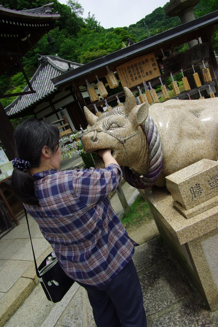 ご利益の面構え。_b0180063_0574988.jpg