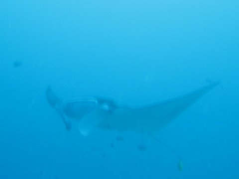 f0238563_1319175.jpg