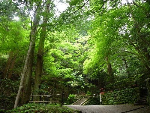 鞍馬寺_e0224167_11134171.jpg