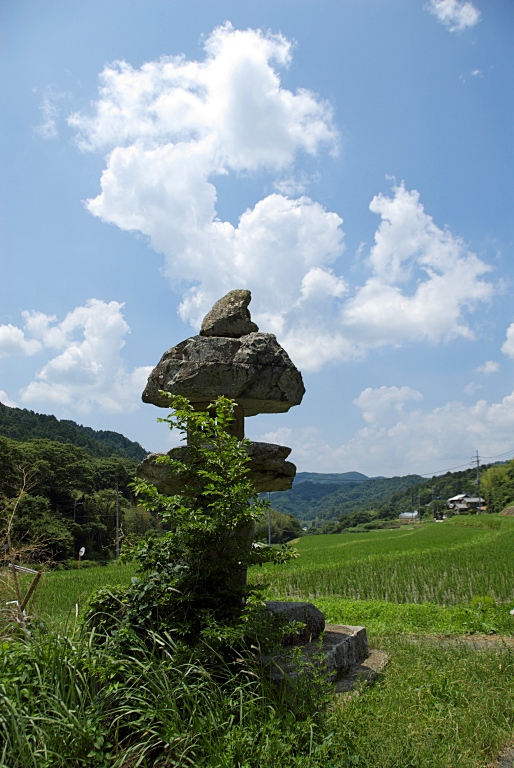 一庫・黒川ポタリング　20110629_a0050572_9103661.jpg