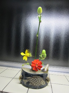 夕菅の花_b0214473_1014630.jpg