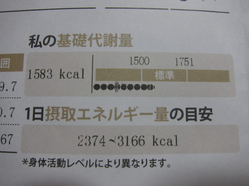 今日から旅へ！！その前に．．．ショック！！効果出てないやん_e0138081_192326.jpg