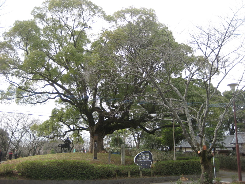 c0013687_1450378.jpg