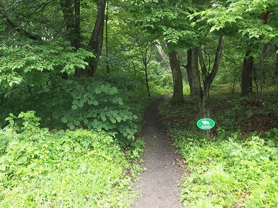 e0008887_6115647.jpg