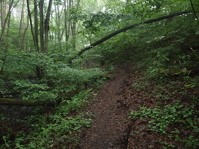 e0008887_633898.jpg