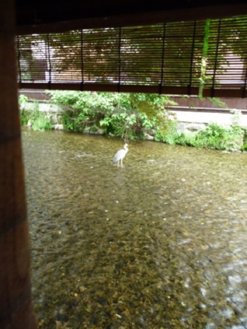 b0191189_084017.jpg