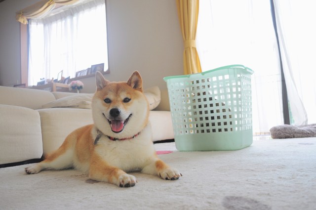 間違いさがし_a0126590_11252211.jpg