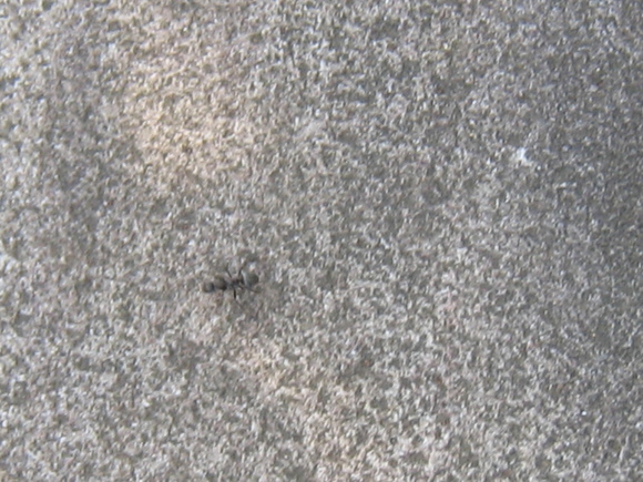 d0224990_2015882.jpg