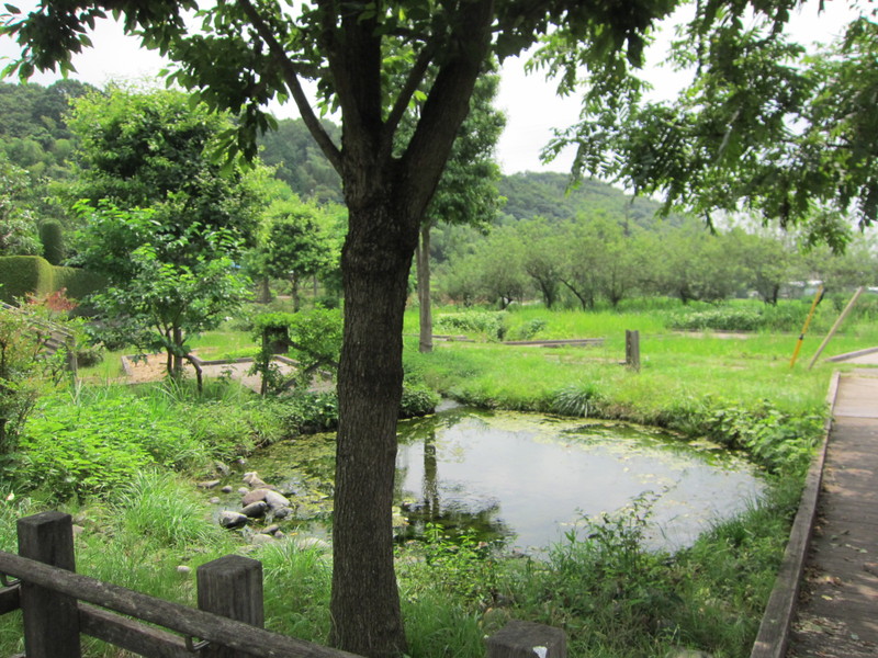e0107493_1493277.jpg