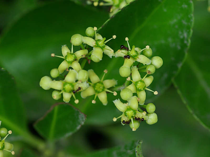 f0204094_21125063.jpg