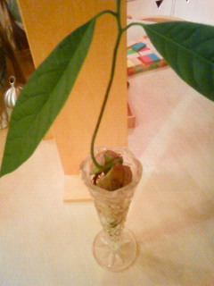 c0018195_13362738.jpg