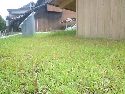 草屋根_d0087595_19241339.jpg