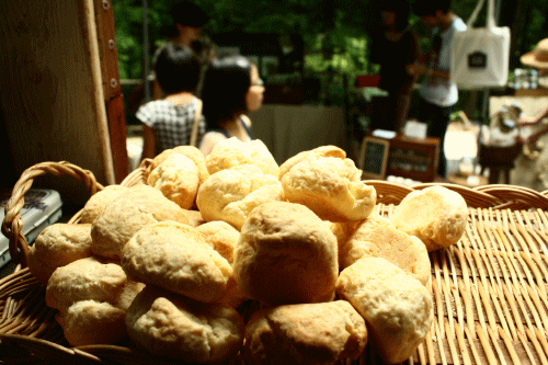 ◆ ７月の森へ ～青い鳥とクローバーを探しに～ ◆   7/3(日)　　　栃木県益子_e0137803_4303555.gif