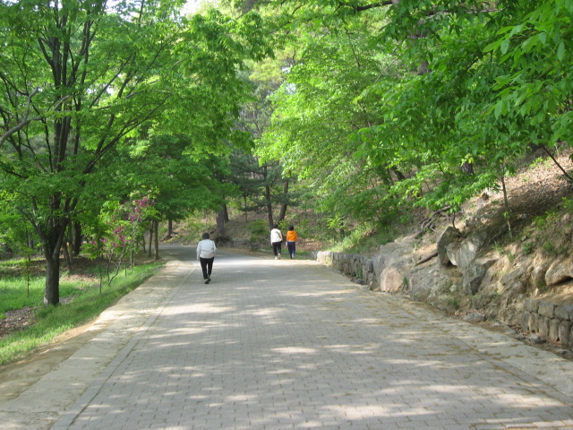 a0100706_12847.jpg