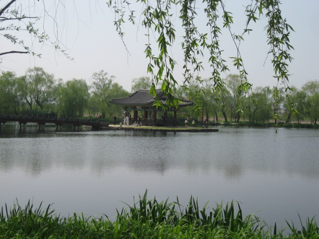 a0100706_184252.jpg