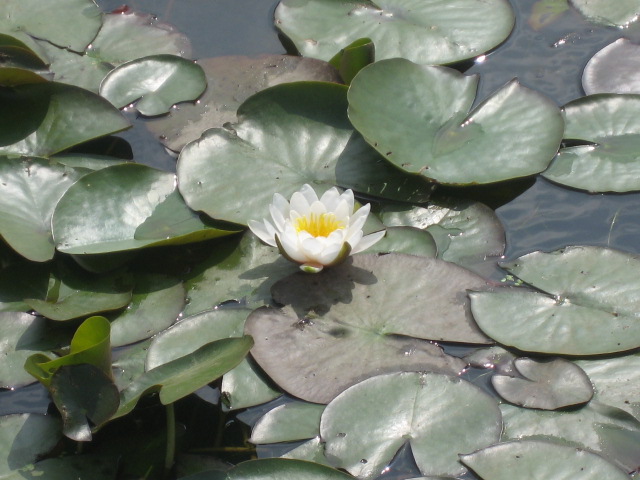 a0100706_18843.jpg
