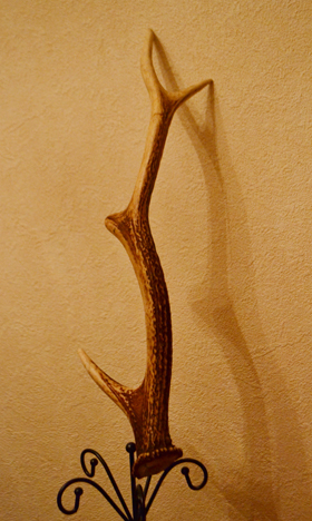 e0177207_23274993.jpg