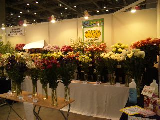 フラワードリーム_d0099708_22222555.jpg