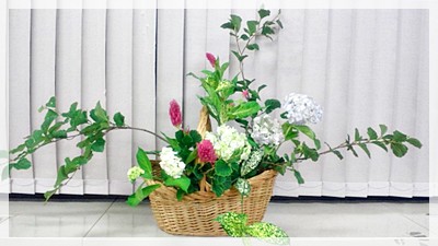 アジサイとケイトウを活ける_b0151911_1056479.jpg