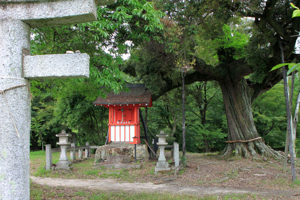 大覚寺 大沢の池で_e0048413_18117100.jpg